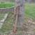 D.B.Smith & Co. Water barrel / trough transfer hand pump 12 thumbnail