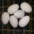 Homestead chicken duck goose guinea eggs 2 thumbnail