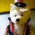 Plush UNCLE SAM Bear. 2 thumbnail