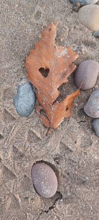 Iso safe studio, efficiency or 1 bedroom 1