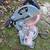 Delta Miter Saw 1 thumbnail