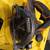 Rigid  6 1/2 circular saw 5 thumbnail