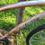 beach cruiser bike 3 thumbnail