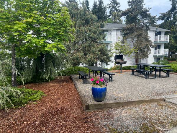 $1,661 / 1hab - 680ft2 - ¡Tu mejora de otoño – Hermoso apartamento de 1 habitación con balcón! (Edmonds)63850638621571124