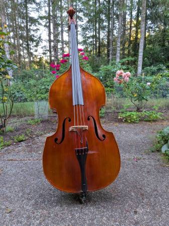Upright Bass 1
