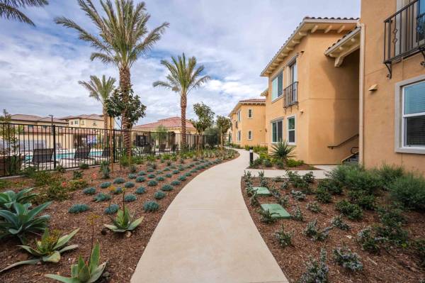 $2,729 / 1 dormitorio - 605 pies² - Garaje, Armarios Grandes, Piso de Laminado Vinílico (3065 Village at the Park Dr, Camarillo, CA)63668270931331124