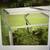 BioStar 1500 Premium Garden Cold Frame with three open top panels 2 thumbnail