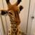 ***** MEGA ****** STUFFED GIRAFFE **** NEW **** MELISSA & DOUG BRAND * 2 thumbnail