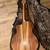 Taylor 214ce-K 3 thumbnail