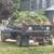 Tree service 2 thumbnail