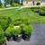 Crape Myrtle, Hydrangea, Barberries, Boxwoods, and more. $18.97 9 thumbnail
