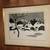 Nice Little Country Estate Tag Sale 13 thumbnail