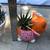 Zebra & Flow succulents in cute animal planters 10 thumbnail