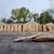 Wood Live Edge Slabs 2 thumbnail