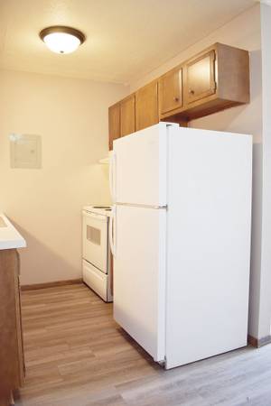 $735 / 1 hab - 520 pies² - 1/hab 1/ba, en Minot ND, Cuidado de césped y eliminación de nieve (505 Park Street, Minot, ND)63696868793731122