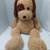 Vintage Kellytoy Sparkle Dog Plush 1 thumbnail