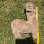 Stone Ram Garden Ornament 16"  statue art figure heavy solid concrete 2 thumbnail