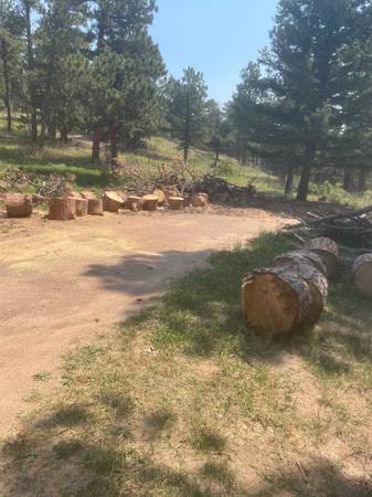 Free fire wood 1