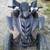2005 Yamaha Raptor 350 special edition 5 thumbnail