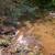 Rare upper North Fork 14.54 acres 11 thumbnail