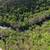224+/- Acres in Huntingdon and Blair Counties! 17 thumbnail