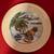 TOMMY BAHAMA "6 REASONS TO HAVE A PARTY" APPETIZER PLATES (Set of 6) 3 thumbnail