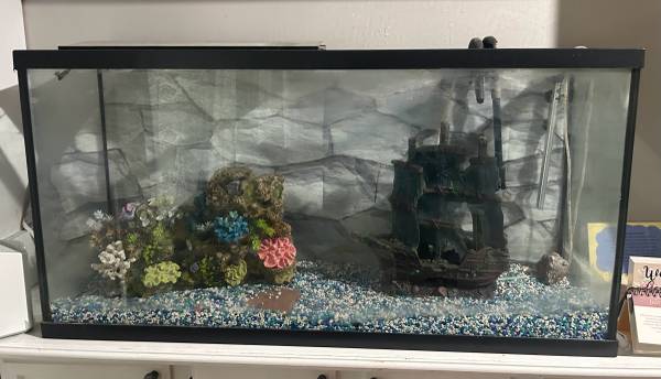 Aquarium 65 gallon with stand and decor 1