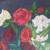 RED YELLOW ROSES VINTAGE STILL LIFE OIL PAINTING SIGNED 4 thumbnail