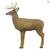 Prime black compound and brand new buck target 2 thumbnail