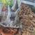 Reptiles 3 thumbnail