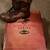 NIB Win Proline boots Oak Ridge men's sz 8 camo Realtree Xtra 1 thumbnail