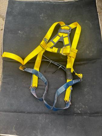 Safety harness 1