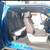 Adventure-Ready 2011 Ford F-150 XL 4x4, Reliable and Durable 6 thumbnail