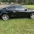 2012 Honda Accord - 2dr - 5-speed || 2.4L Engine 1 thumbnail