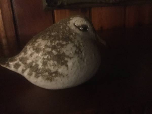 Smithsonian Institution partridge 1