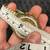 Vintage Swatch Flex Golden Globe SCG101 Chrono Watch 11 thumbnail