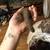Uromastyx 1 thumbnail