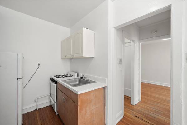 $1,195 Large Studio Apt in Central Logan Square! (NO MOVE-IN FEE!) (Logan Square)63898858898050124