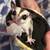 sugar gliders! 1 thumbnail