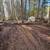 Land Development, mulching, excavation, stump grinding 2 thumbnail