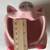 Pig sponge holder, summer garden decoration, scrubbie holder 4 thumbnail