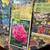 NEW Gardener's Gifts Book + Flower Book& 6 Magazines-Total $5 3 thumbnail