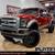 2015 Ford F250 Super Duty Crew Cab F-250 F350 F-350 Platinum Pickup 4D 1 thumbnail