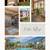 Eaton Village: Your Dream Apartment Awaits 1 thumbnail
