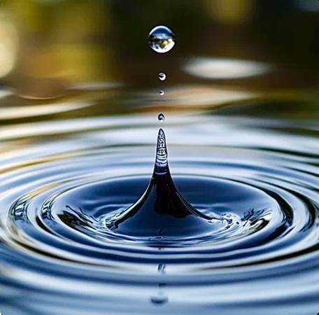 Water Intrusion Repair & Remediation 1