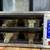 Prince Castle Dedicated Holding Bins Model # DHB-DDA 120V/60 HZ/ 1500 1 thumbnail