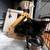 6 Grey Tabby/Tuxedo Kittens 3 thumbnail