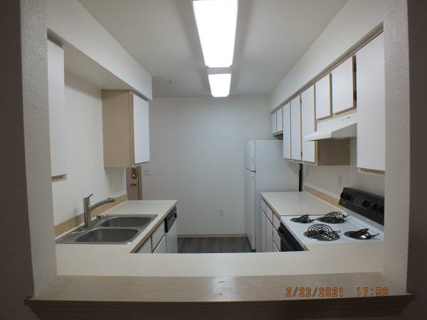 $1,950 / 2br - 1000ft2 - $1950 2 habitaciones 2 baños, ¡luminoso y brillante! (Northgate)63808059427587124