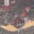 One fighting, rooster, and two hens gallo de pelea con dos gallinas 3 thumbnail