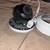 IP CAMERA 4 thumbnail